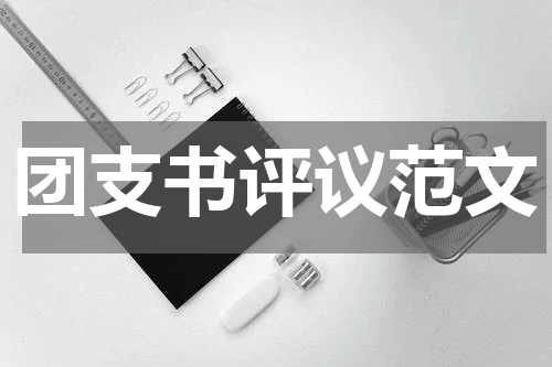 团支书评议范文