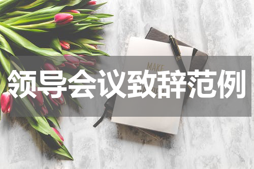 领导会议致辞范例