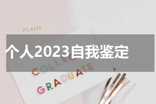 个人2023自我鉴定