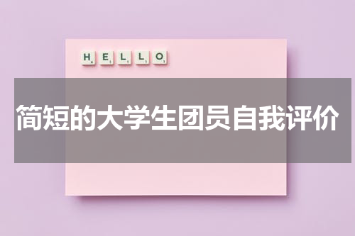 简短的大学生团员自我评价