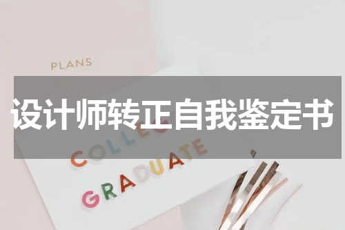 设计师转正自我鉴定书