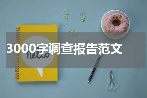 3000字调查报告范文