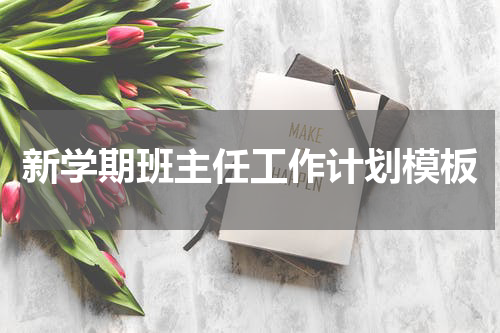 新学期班主任工作计划模板