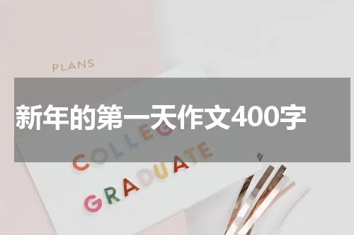 新年的第一天作文400字