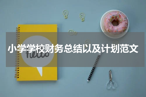 小学学校财务总结以及计划范文