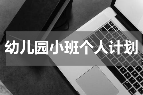 幼儿园小班个人计划
