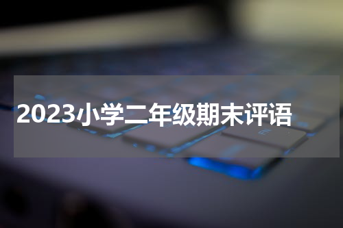 2023小学二年级期末评语