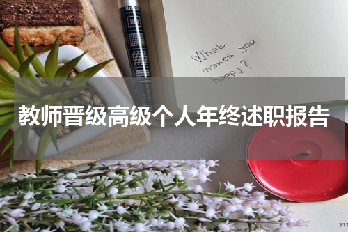 教师晋级高级个人年终述职报告