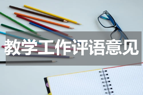 教学工作评语意见