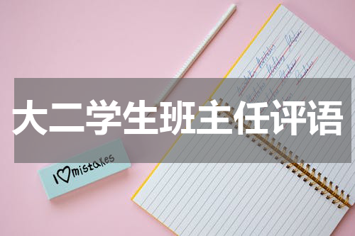 大二学生班主任评语