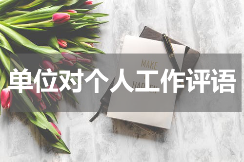 单位对个人工作评语