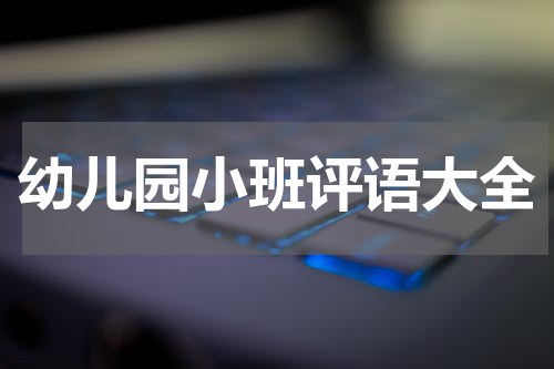 幼儿园小班评语大全