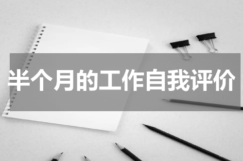半个月的工作自我评价
