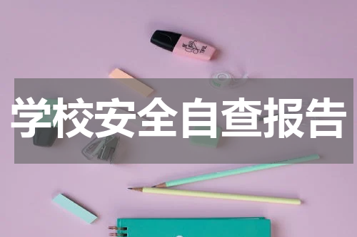 学校安全自查报告
