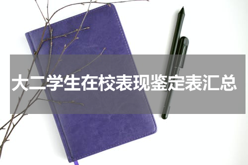 大二学生在校表现鉴定表汇总
