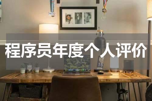 程序员年度个人评价