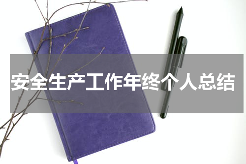 安全生产工作年终个人总结