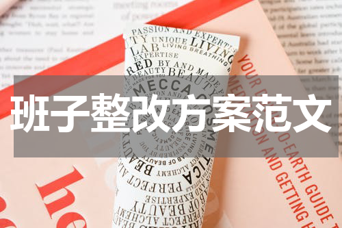 班子整改方案范文