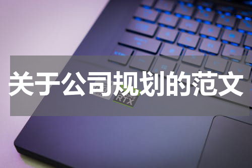 关于公司规划的范文
