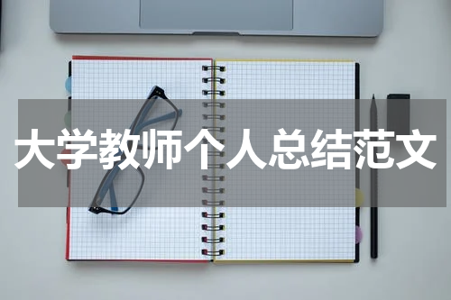 大学教师个人总结范文