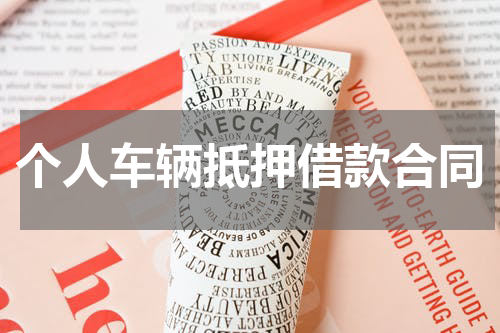 个人车辆抵押借款合同