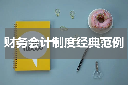 财务会计制度经典范例