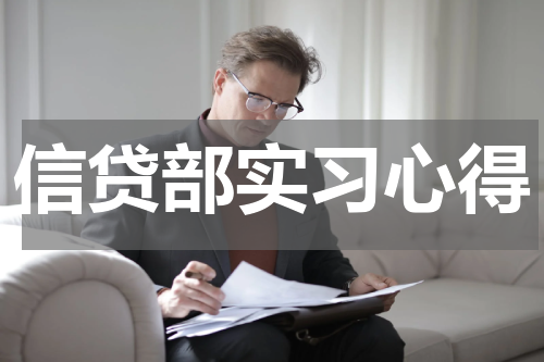 信贷部实习心得