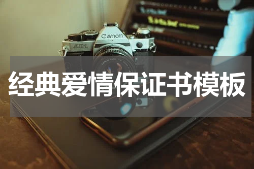 经典爱情保证书模板