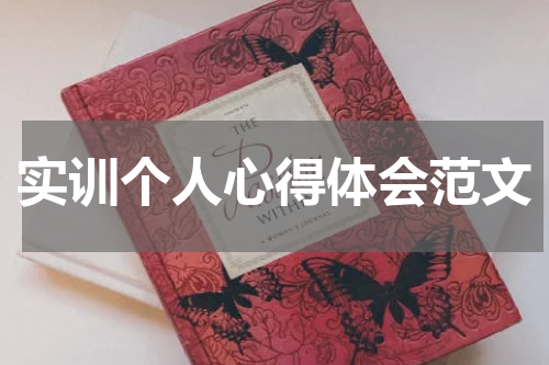 实训个人心得体会范文