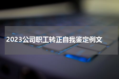 2023公司职工转正自我鉴定例文