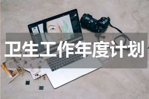 卫生工作年度计划