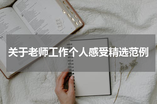 关于老师工作个人感受精选范例