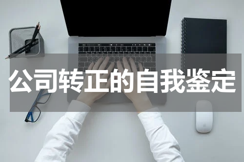 公司转正的自我鉴定