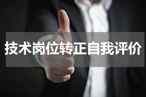 技术岗位转正自我评价