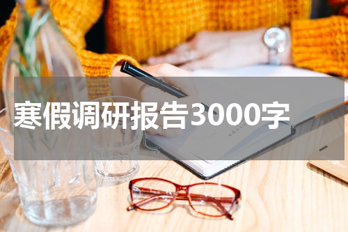 寒假调研报告3000字