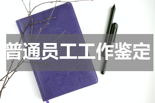普通员工工作鉴定