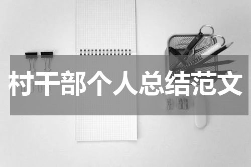 村干部个人总结范文