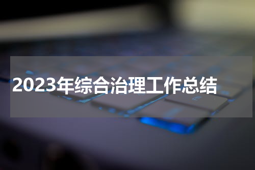 2023年综合治理工作总结