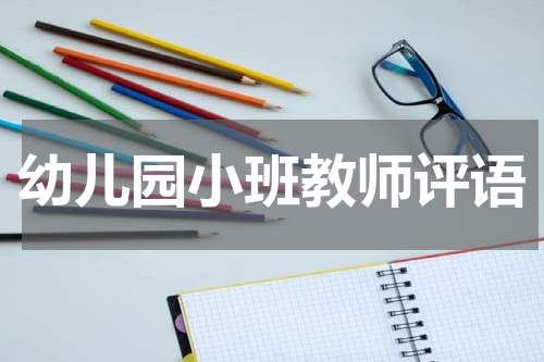 幼儿园小班教师评语