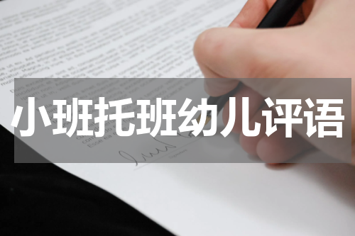 小班托班幼儿评语