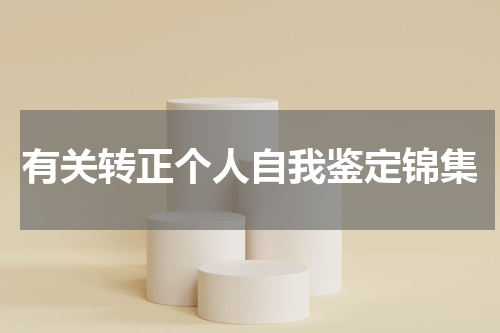 有关转正个人自我鉴定锦集