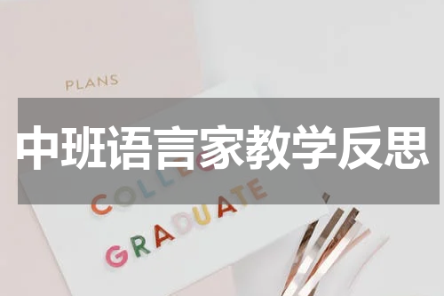 中班语言家教学反思