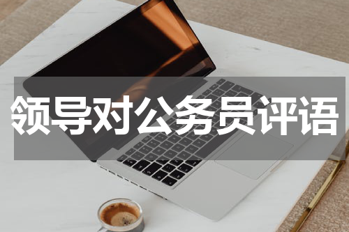 领导对公务员评语