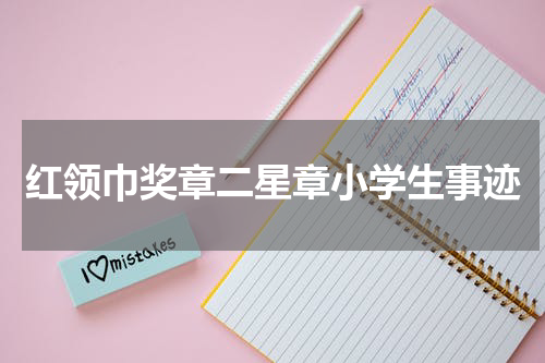 红领巾奖章二星章小学生事迹