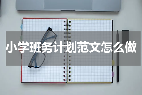 小学班务计划范文怎么做