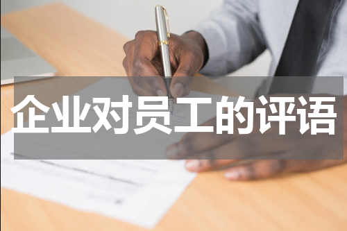 企业对员工的评语