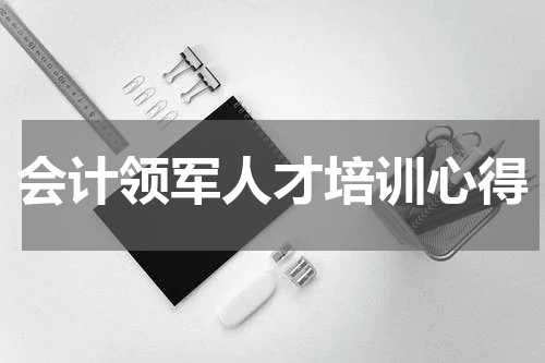 会计领军人才培训心得