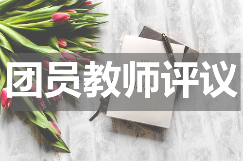 团员教师评议