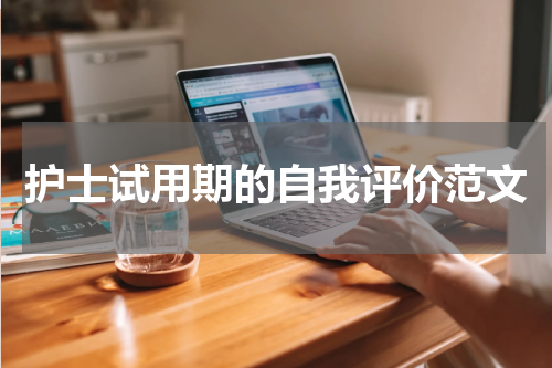 护士试用期的自我评价范文