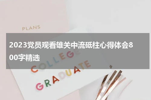 2023党员观看雄关中流砥柱心得体会800字精选